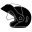 Modular Helmet